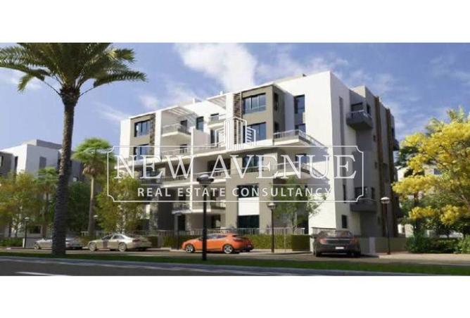 8425691 - Property Image 3