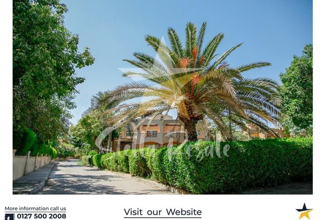 7883105 - صورة العقار 2
