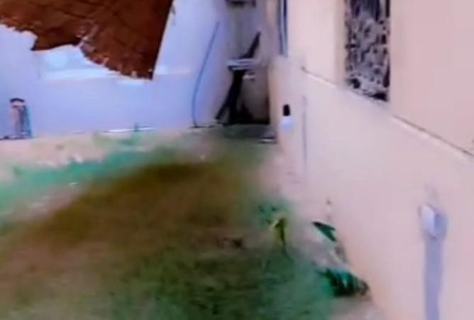 8220257 - صورة العقار 3