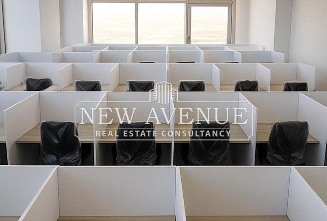 8187038 - Property Image 3