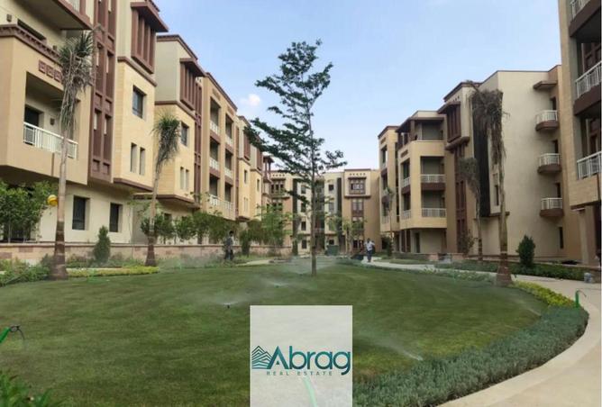 8013565 - صورة العقار 3