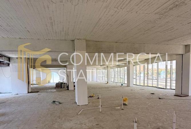 8131842 - صورة العقار 3