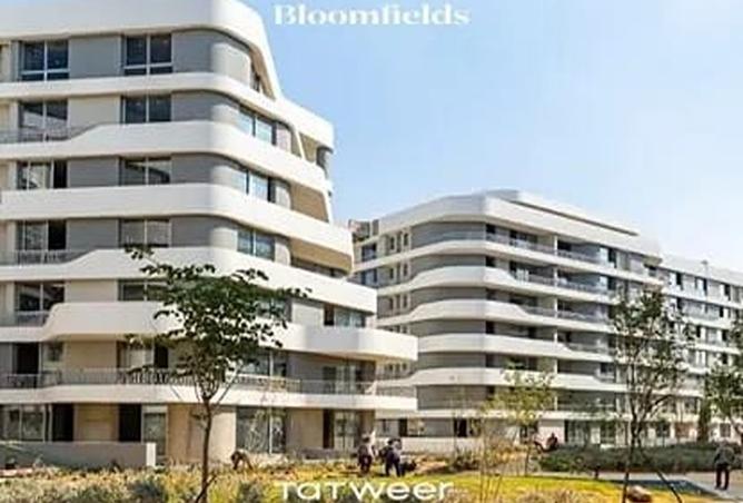 8486280 - Property Image 2