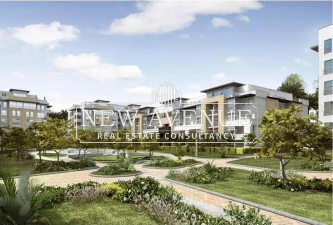 8197302 - Property Image 2