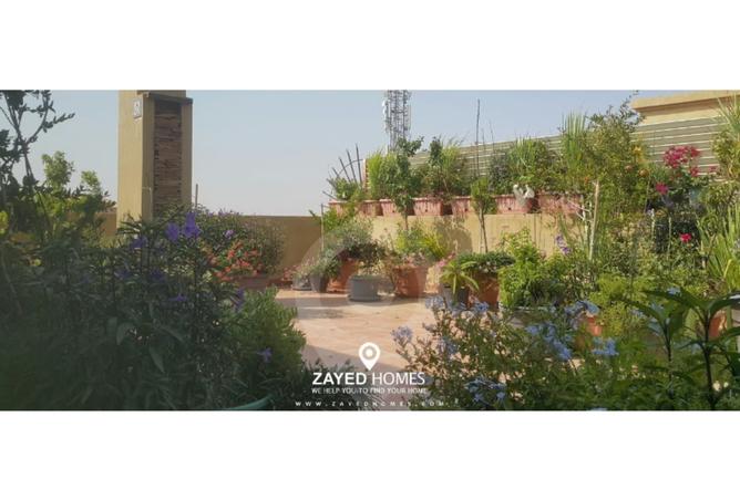 8250124 - صورة العقار 3