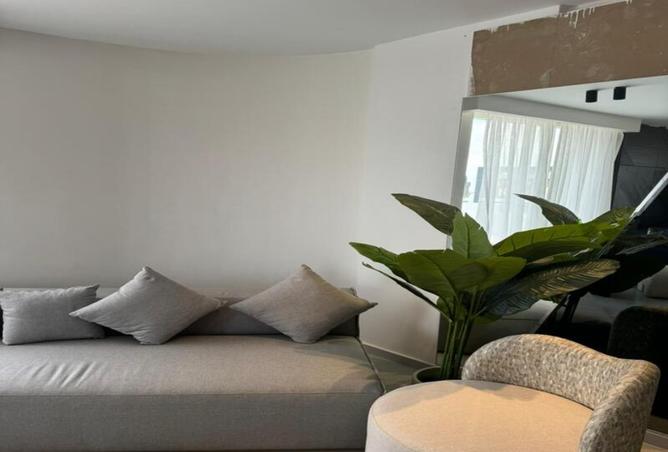 8020350 - Property Image 3