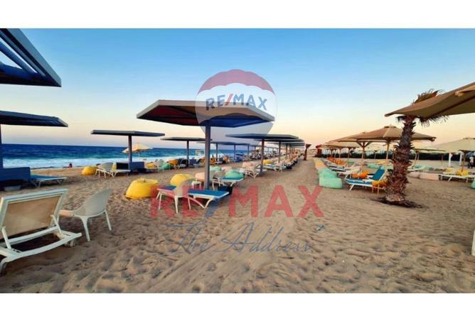 8066272 - Property Image 3