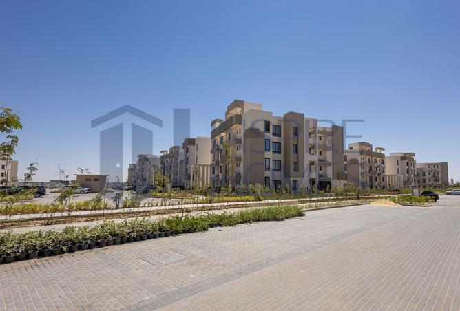 8395826 - صورة العقار 3