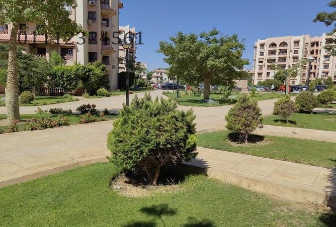 7987967 - Property Image 3