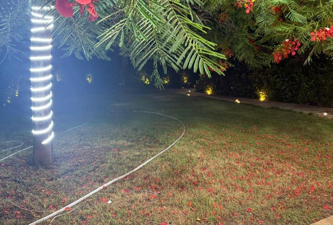 8299667 - Property Image 3