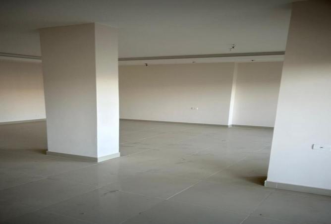 8481645 - Property Image 3