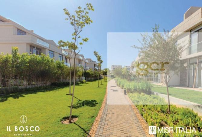 8184768 - Property Image 3