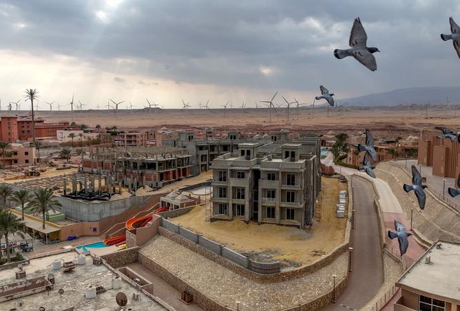 8508499 - صورة العقار 2