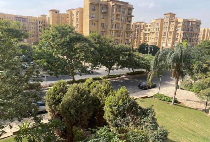 8254524 - صورة العقار 2