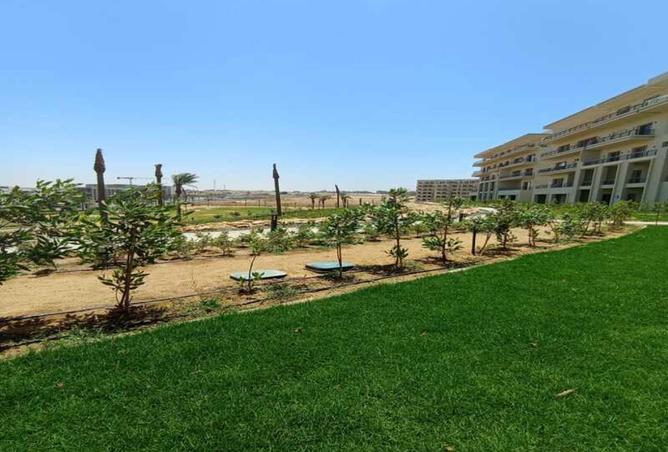 8377470 - Property Image 2