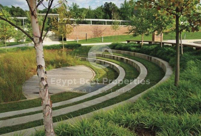 8456345 - Property Image 3