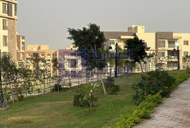 8310781 - Property Image 2