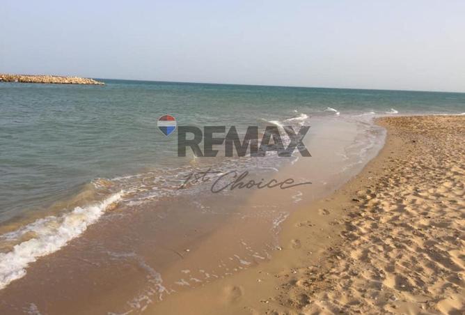 7930970 - Property Image 2