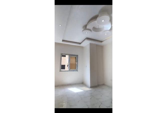 7959545 - صورة العقار 2