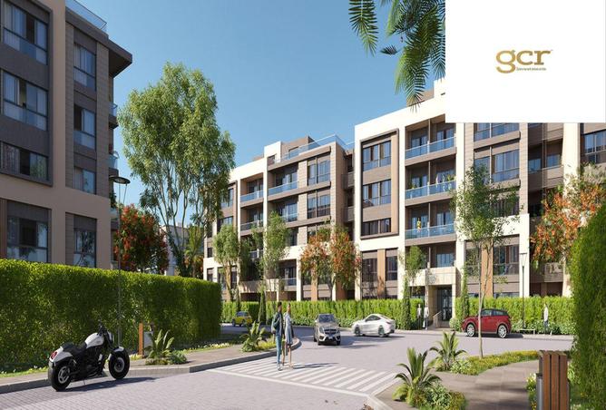 8443437 - Property Image 3