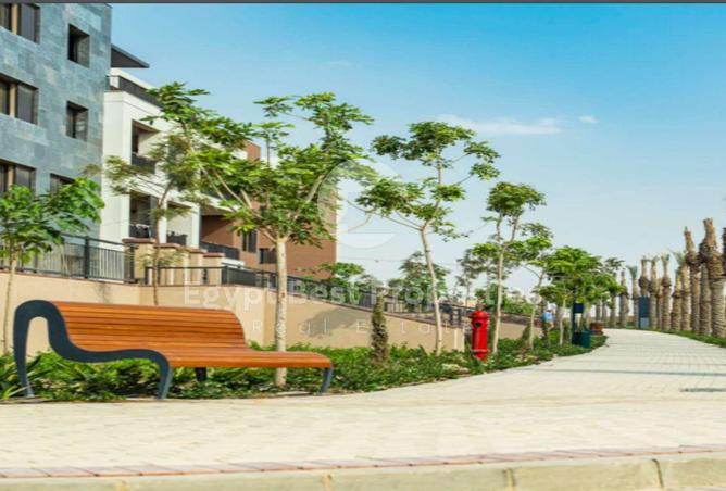 8536992 - Property Image 2