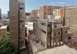 شقة - 2 غرف نوم - 1 حمام للايجار في زيزينيا - حي شرق - الاسكندرية