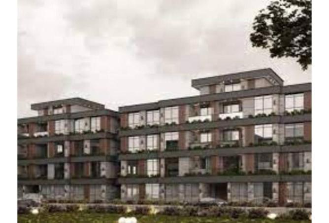 8059794 - Property Image 3