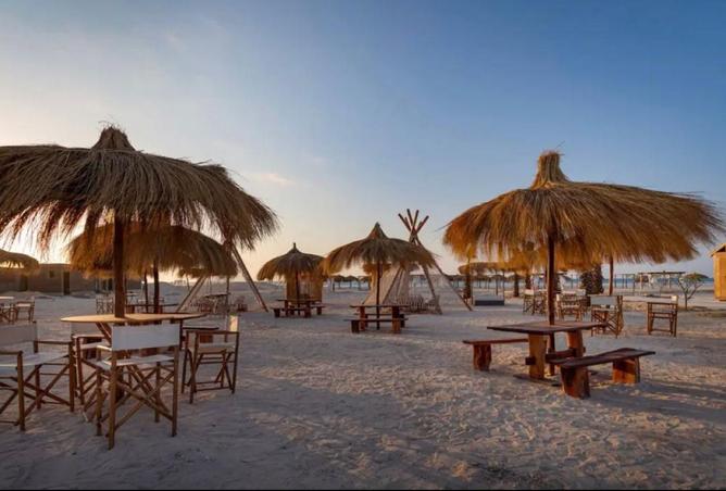 8182177 - صورة العقار 3