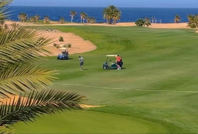 8431857 - Property Image 2