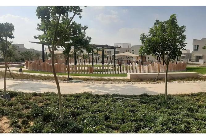 7965572 - صورة العقار 2