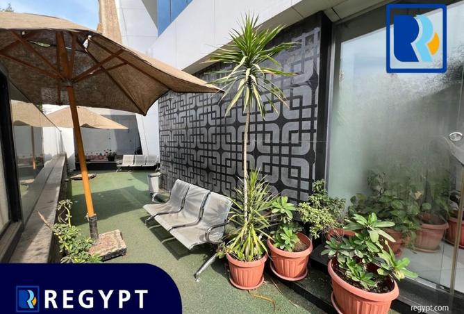 8204139 - صورة العقار 3