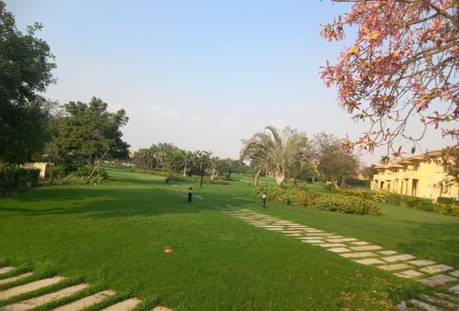 8293918 - Property Image 3