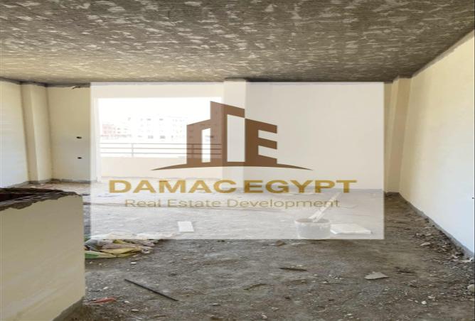 7983746 - Property Image 3