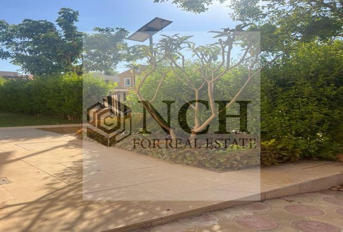 8163600 - Property Image 3