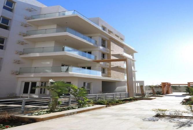 8124098 - Property Image 3