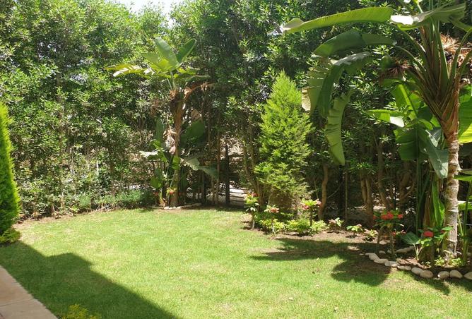 8022383 - Property Image 3