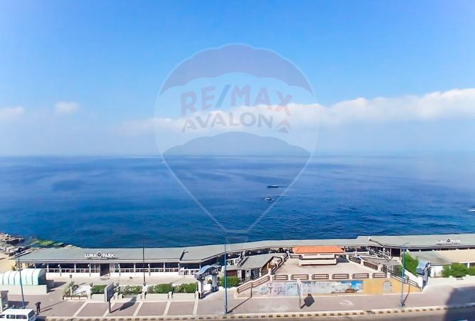 8183873 - صورة العقار 2