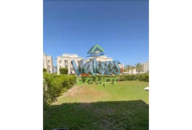 8172414 - Property Image 3