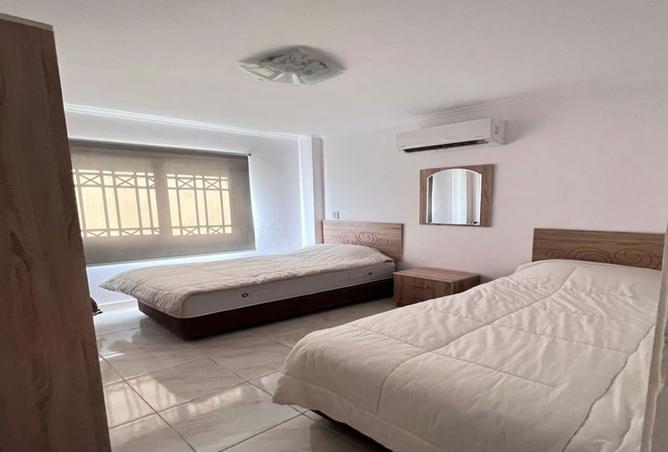 8056035 - Property Image 3