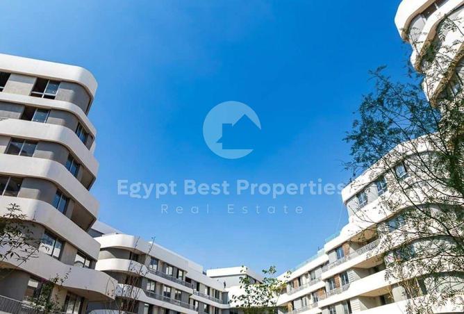 8458070 - Property Image 3