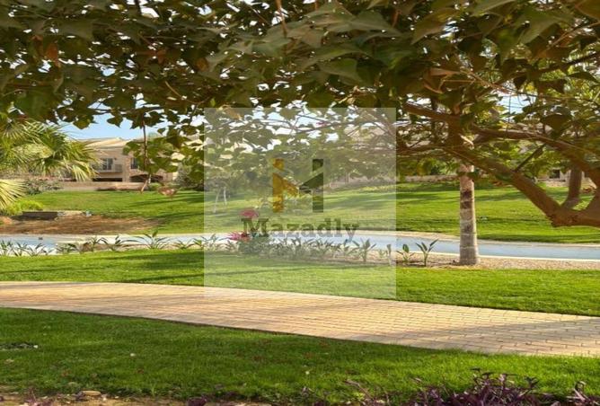 8355603 - صورة العقار 2