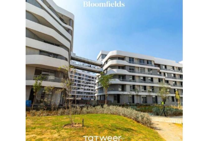 8134491 - Property Image 3