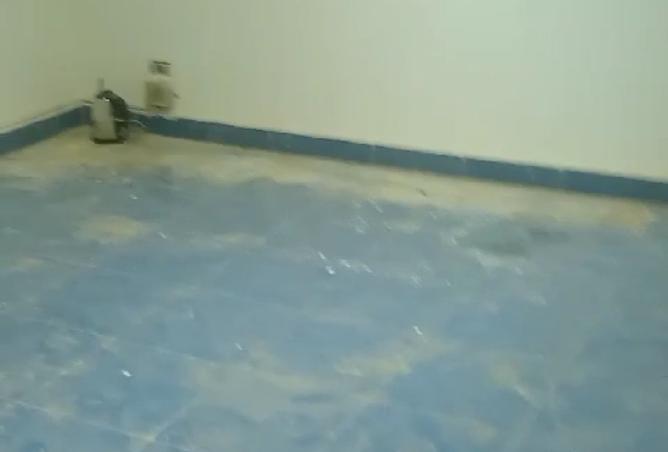 8145005 - Property Image 3