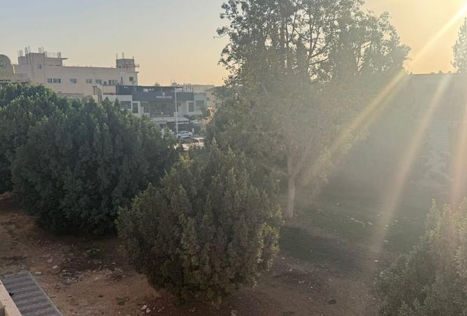 8531073 - صورة العقار 3