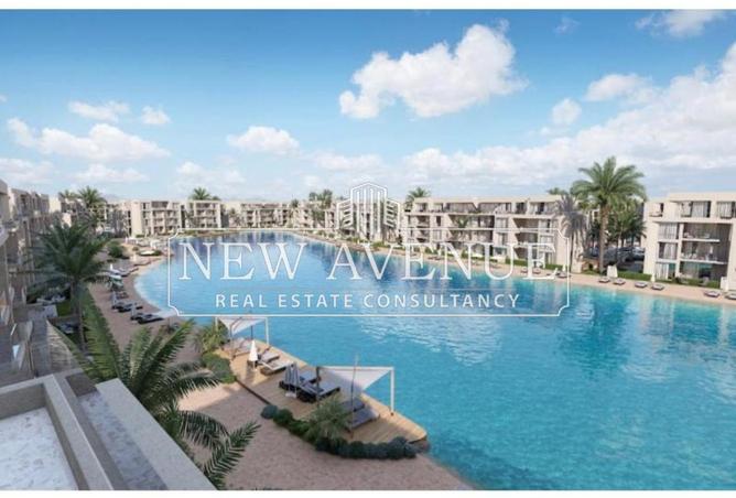 8139913 - Property Image 3
