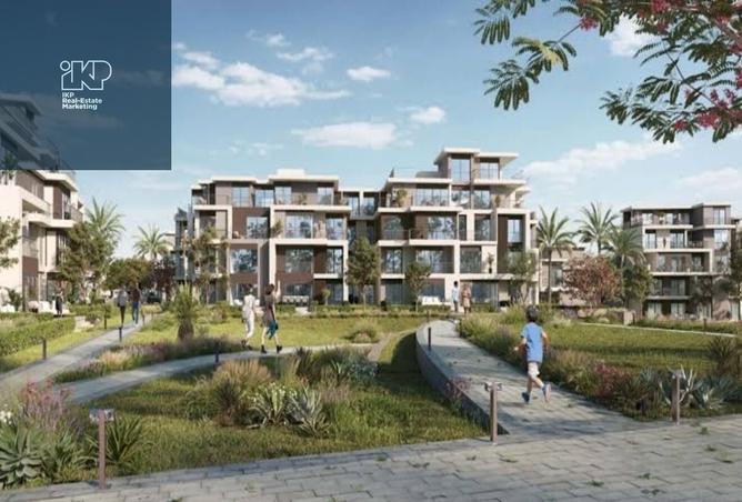 8037146 - Property Image 3
