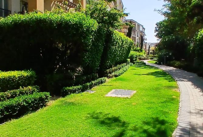 8535529 - Property Image 2