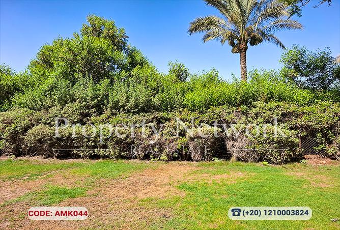 8403909 - Property Image 3