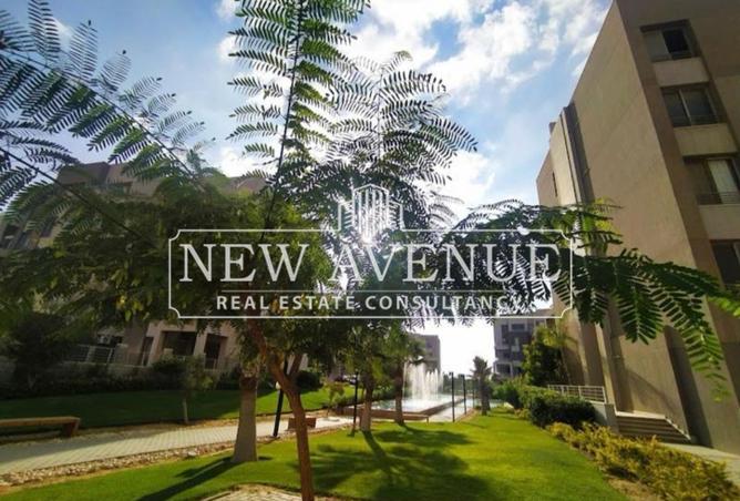 8067262 - Property Image 3
