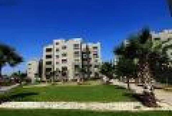 8363315 - Property Image 3